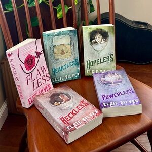 Chestnut Springs Series by Elsie Silver (All 5 books)